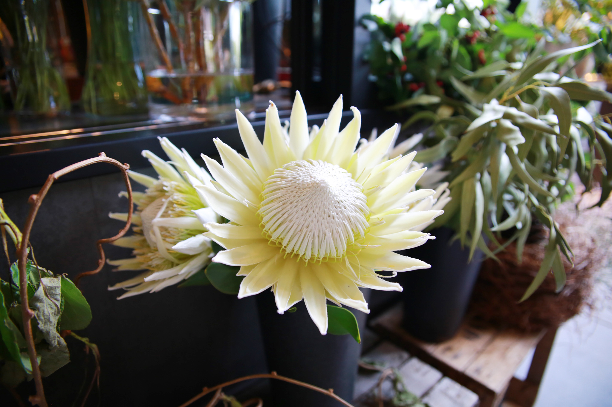 BLOOMY’Sの店舗画像3